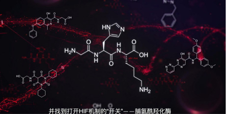 未标题-4.jpg