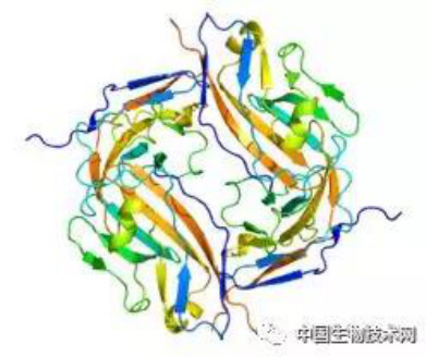 未标题-10.jpg