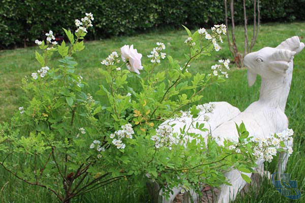 image011.jpg