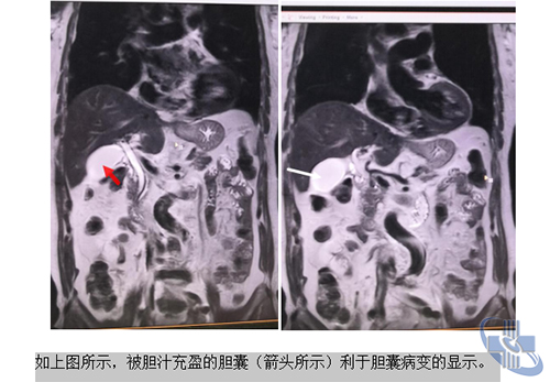 图片4.jpg 图片4.jpg