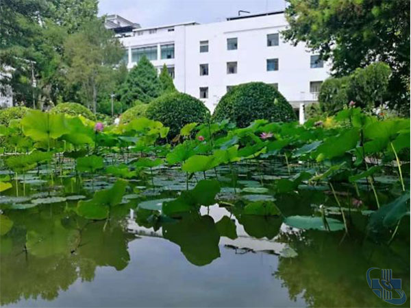 图片9.jpg