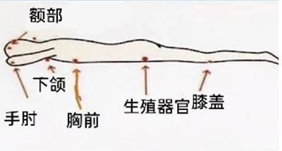 图片4.jpg