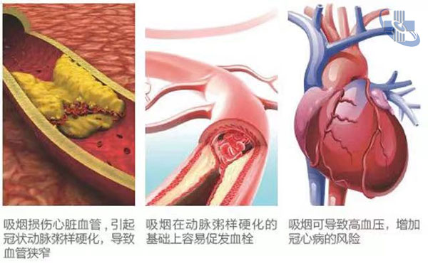 图片8.jpg