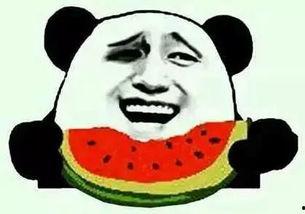 吃瓜的被网暴,一场网络伦理的拷问