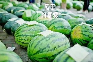 王在在吃瓜网免费官网