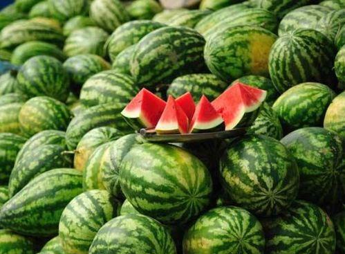 有哪些知名网红吃瓜群,揭秘知名网红的吃瓜群圈层