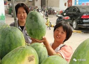 亚洲吃瓜一区网,揭秘热门话题背后的真相与笑料