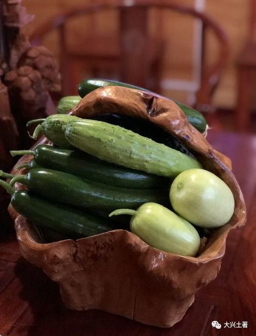 网红吃瓜大家族是真的吗,揭秘真相还是虚构传闻?