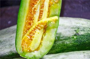 有没有吃网红瓜网站,一网打尽热门话题,带你畅游吃瓜乐园