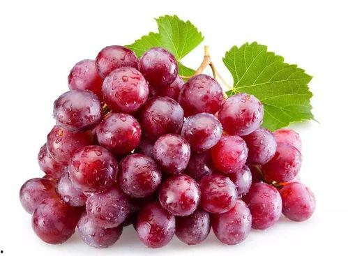 网红吃瓜葡萄图片,揭秘瓜界新宠儿的魅力瞬间