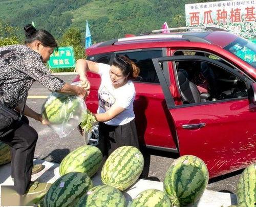 吃瓜群众岱岱观察者网