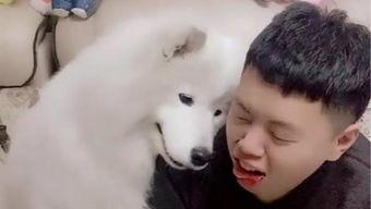 官狼吃瓜网,揭秘娱乐圈幕后真相，带你领略明星生活百态