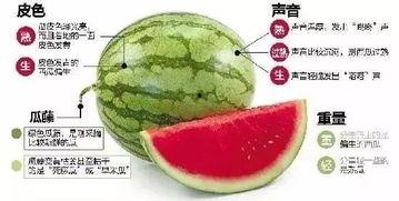 网红吃瓜微信群,揭秘娱乐圈幕后风云