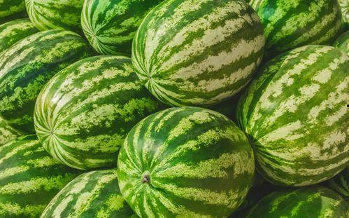 我早吃瓜网,揭秘娱乐圈最新动态，带你畅游八卦世界