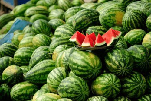 高端网红吃瓜视频下载安装,下载安装攻略与热门内容盘点