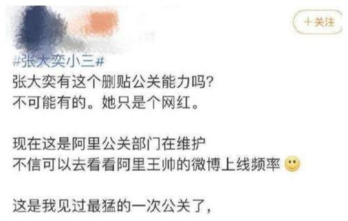网红ceo吃瓜结果如何
